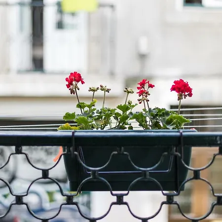 Appartement Charming Travessa Do Alcaide